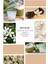 Ixora K379 Goddes Kadın Parfüm 100 ml EDP 3