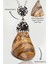 Sertifikalı Zirkon Taşlı Tamburlanmış Kahverengi Zebra Jasper Taşı Kolye 1