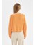 Coool Regular Fit Bisiklet Yaka Basic Düz Triko Kazak L2567AZ24WN 5