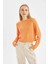 Coool Regular Fit Bisiklet Yaka Basic Düz Triko Kazak L2567AZ24WN 3