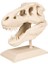 T-Rex Kafatası ve Standı Figürü - 20 cm 1