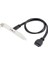 Type C 19-20 Pin Dişi To USB 3.0 Anakart Panel Pci Çevirici Kablosu 1