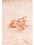 Güneş Mini Rose Gümüş Baget Küpe 6922 2