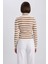 Slim Fit Çizgili Balıkçı Yaka Triko Kazak A2059AX23AU 6