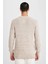 Standart Fit Bisiklet Yaka Triko Kazak R1175AZ23AU 6