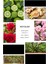 Ixora E028 Entrica Erkek Parfüm 100 ML EDP 4