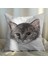 Sevimli Kedi Tasarımlı 2'li Yastık Içi ve Kırlent Kılıfı 45CM 113408 2