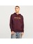 Erkek Kapüsonlu Gögüs Logo Baskili Sweatshirt - Alvis 1