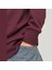 Erkek Kapüsonlu Gögüs Logo Baskili Sweatshirt - Alvis 2