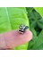 Micro Step Motor 6x7.5mm 3