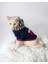 Cat Neo Tommie Kedi Sweatshirt Large 3 4 5 kg 3