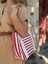 Zebra Bag Kumaş Çanta 30*30*15 1