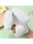 Nothing Kılıf Cmf Telefon 1 Tavşan Furprotection Plushcase Sonbahar ve (Yurt Dışından) 4