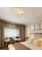 - Elegance Tavana Sabit LED Avize - Beyaz Kasa - Beyaz Işık 4