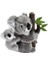 Neco Anm Pelus 20851 26CM Agacta Yavrulu Koala NECANM20851 2