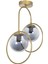 Modern Eskitme Renkli Metal ve Cam 2 Li Avize, 50x30 cm, Şık ve Zarif Aydınlatma 1