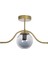 Füme Renkli Metal Camlı Tekli Avize 30x60, Modern ve Şık Tasarım 1