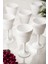 Akrilik Tekli Kadeh & Su Meşrubat Kahve Yanı Bardağı 300 ml ( Cam Değildir ) 3