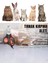 Kedi ve köpek tırnak makası, yatak, tarak ve aksesuar seti, kaliteli ve güvenilir 4