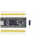 STM32F401C Core Board High Performance Access Line Arm Cortex M4 Core With Dsp And Fpu 256 Kbytes 1