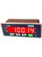 L60 Panel Tipi Tartı & Kontrol Göstergesi 1