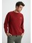 Ernest Erkek Yumuşacık Içi Polarlı Baskı Detaylı Organik Pamuk Oversize Bordo Sweatshirt 3