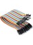 20CM 40 Pin Erkek Erkek Dupont Kablo Breadboard Atlama Kablosu Jumper Kablo 1