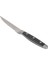 Abs Siyah Saplı Lüks Steak Bıçağı 21 cm 2