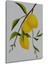 Ahşap Limon Duvar Tablosu Tablo Dijital Uv Çerçeve Görünümlü Dikey Duvar Dekorasyon Tablosu 5