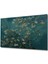Dekoratif Ahşap Vincent Van Gogh Blossoming Almond Tablosu Şık Yatay Duvar Dekorasyon Tablosu 4