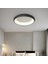 Siyah Ø60CM Kumandalı Dimli, 3 Işık, Çember, LED Tavan Lambası, Modern Aydınlatma, Avize 1
