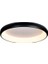 Siyah Ø60CM Kumandalı Dimli, 3 Işık, Çember, LED Tavan Lambası, Modern Aydınlatma, Avize 4
