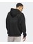 Ae Foundation Hoody 2