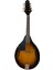 Mandolin 1