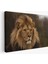Aslan Dekoratif Kanvas Tablo 1159 2