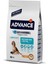 Dog Puppy Protect Inıtıal 3kg Gnzrz 1