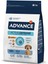 Mtxdpn Advance Dog Mını Lıght 3 Kg 2