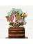 Peter Rabbit Temalı Kız Çocuk Doğum Günü Isme Özel 3 Boyutlu Pasta Parti Süsü Cake Topper 1