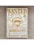 Wanted Monkey D Luffy Duvar Poster. Wanted Duvar Pano 4