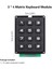 3x4 Telefon Stili Matrix Keypad 2