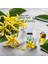 Ylang Ylang Uçucu Yağı, 5 ml, %100 saf, Cananga odorata essential oil 1