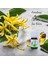 Ylang Ylang Uçucu Yağı, 5 ml, %100 saf, Cananga odorata essential oil 3