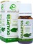 Einnatur %100 Saf Okaliptüs Uçucu Yağı, 10 Ml, Eucalyptus Globulus Oil, Yüksek Oranda 1,8-sineol Içerir 1