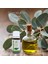 Einnatur %100 Saf Okaliptüs Uçucu Yağı, 10 Ml, Eucalyptus Globulus Oil, Yüksek Oranda 1,8-sineol Içerir 4