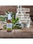 Adaçayı Suyu, Hidrolat Spreyli, 50 Ml, % 100 Saf, Salvia Triloba Hidrosol 5