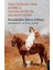 İslam Tarihinde Nifak Kerbela Hasan-Hüseyin Muaviye-Yezid - Kemaleddin Şükrü 1