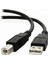 USB 2.0 Tarayıcı Yazıcı Kablosu Tip A Erkek Tip B Erkek USB Uzatma Baskı Kablosu Yazıcı HDD Için Yüksek Hızlı Şeffaf (Yurt Dışından) 4