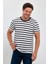 Siyah Çizgili Erkek Slim Fit Kesim Bisiklet Yaka Kısa Kollu T-Shirt - Siyah 3