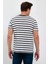 Siyah Çizgili Erkek Slim Fit Kesim Bisiklet Yaka Kısa Kollu T-Shirt - Siyah 5