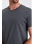 Erkek Slim Fit Pamuk Bisiklet Yaka Basic Tişört Füme 2